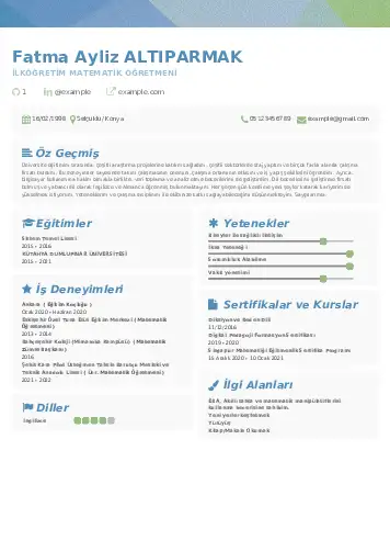 cv indir